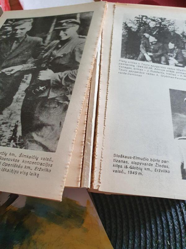 Partizanų kovos Lietuvoje - Kęstutis Kriščiūnas, knyga 2