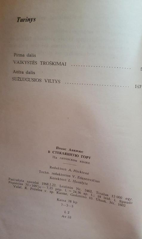 Į stiklo kalną - Jonas Avyžius, knyga 3