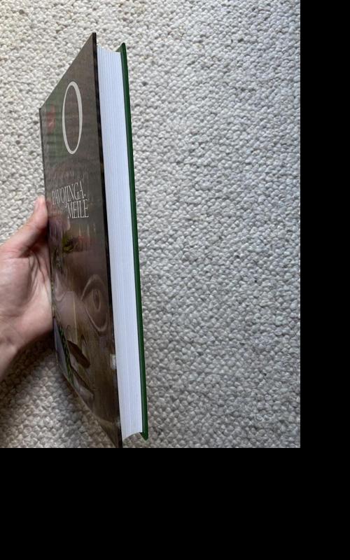 Pavojinga meilė - Ben Okri, knyga 5