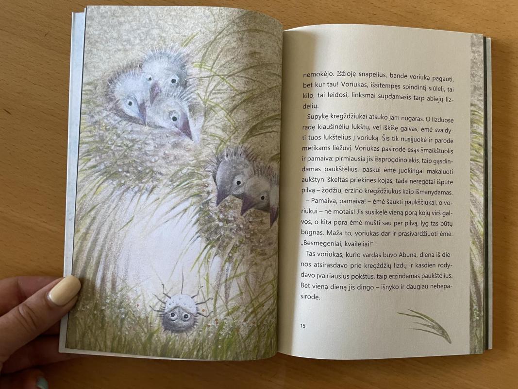 Nepaprasta kanapėtojo mustango kelionė - Naira Gelašvili, knyga 2