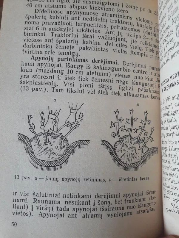 Apynių auginimas - S. Gudanavičius, knyga 3