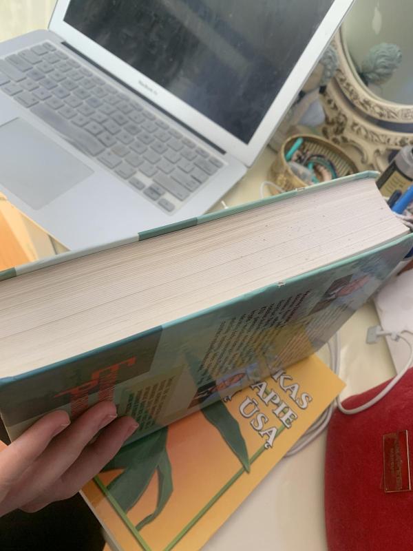 Ekonomikos pagrindai - Bronius Martinkus, knyga