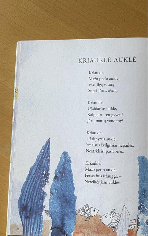 Vaikų kambarys - Violeta Palčinskaitė, knyga 2