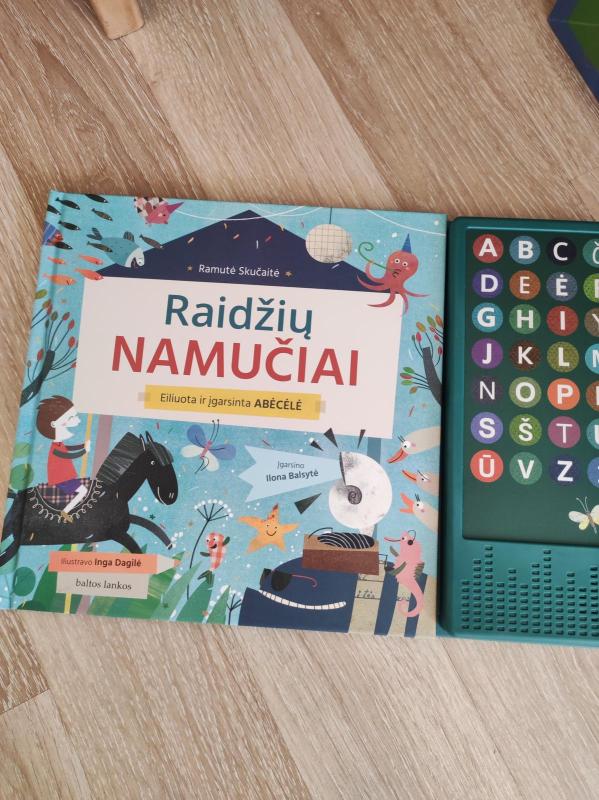 Raidžių namučiai - Ramutė Skučaitė, knyga