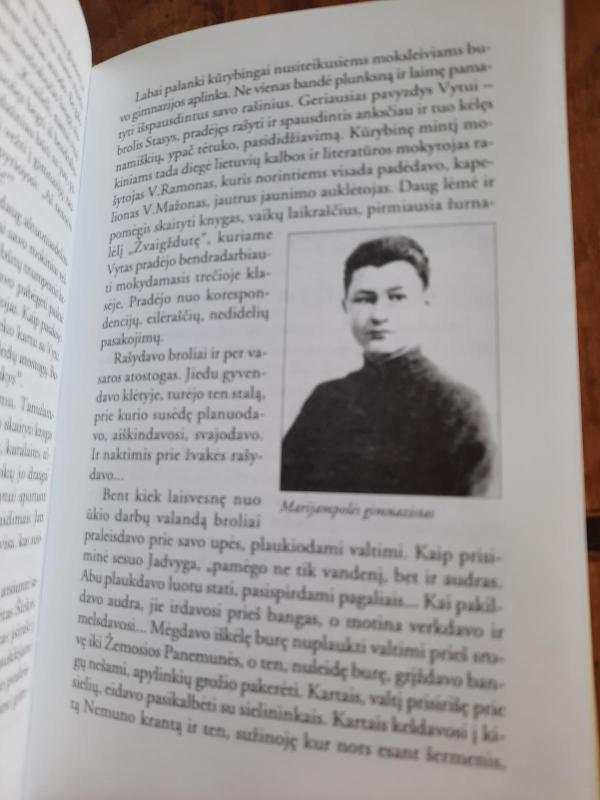 Iš gintarų vėrinio - Jonas Linkevičius, knyga 2