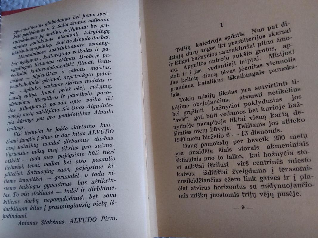 Raudonasis amaras - Ona Algminienė, knyga 2