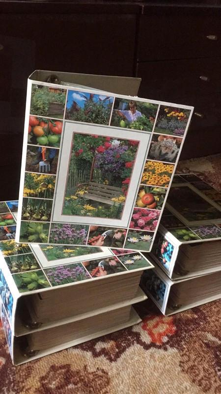 Enciklopedinis rinkinys - Mano svajonių sodas - Autorių Kolektyvas, knyga 3