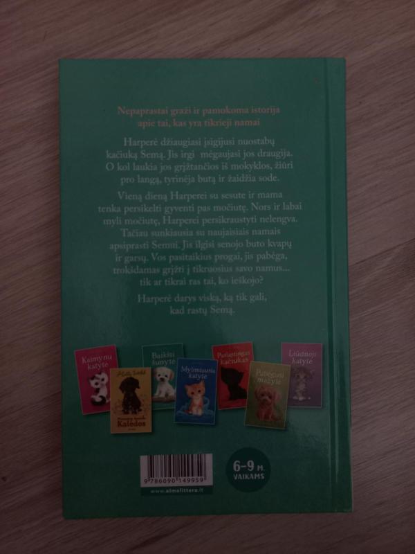 Namų pasiilgęs Semas - Holly Webb, knyga 2