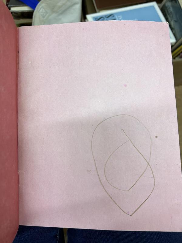 Rugsėjo žvaigždė - Liutauras Degėsys, knyga 2