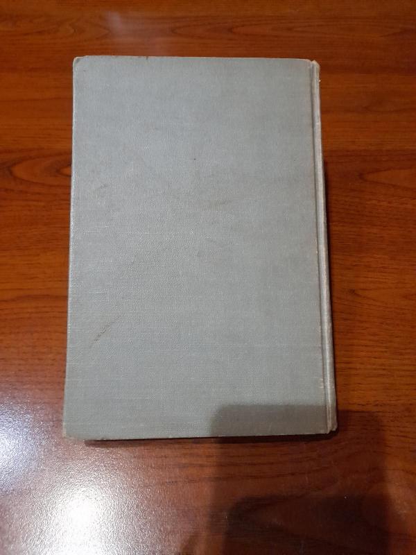 Algio Lumbio nuotykiai - Rojus Mizara, knyga 4