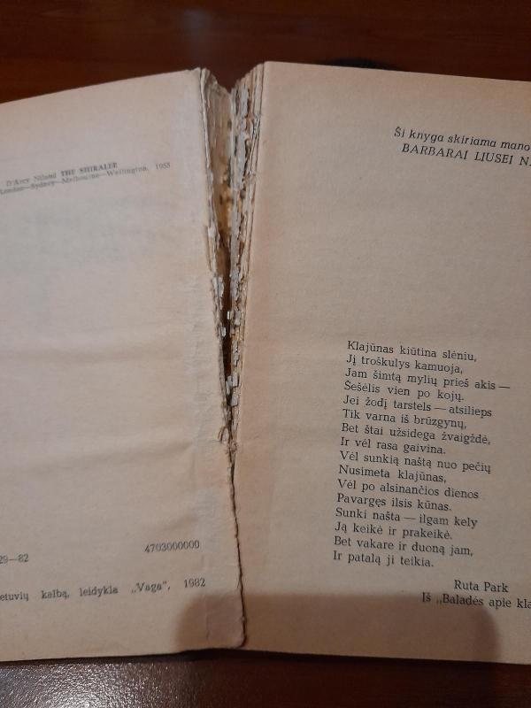 Klajūnas - D'arsi Nailendas, knyga 5