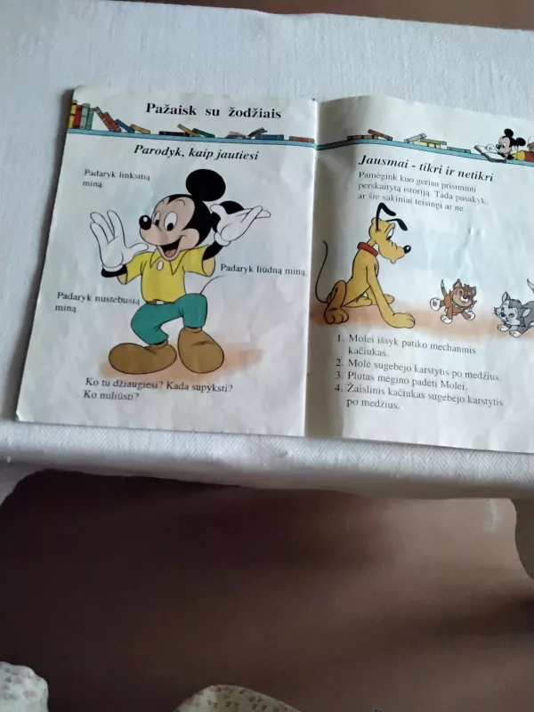 Mikis ir netikėta dovana - Walt Disney, knyga