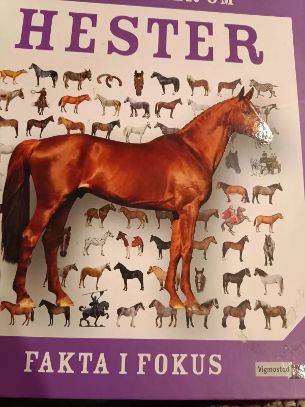 Hester Spectrum arklių katalogas - Autorių Kolektyvas, knyga 5
