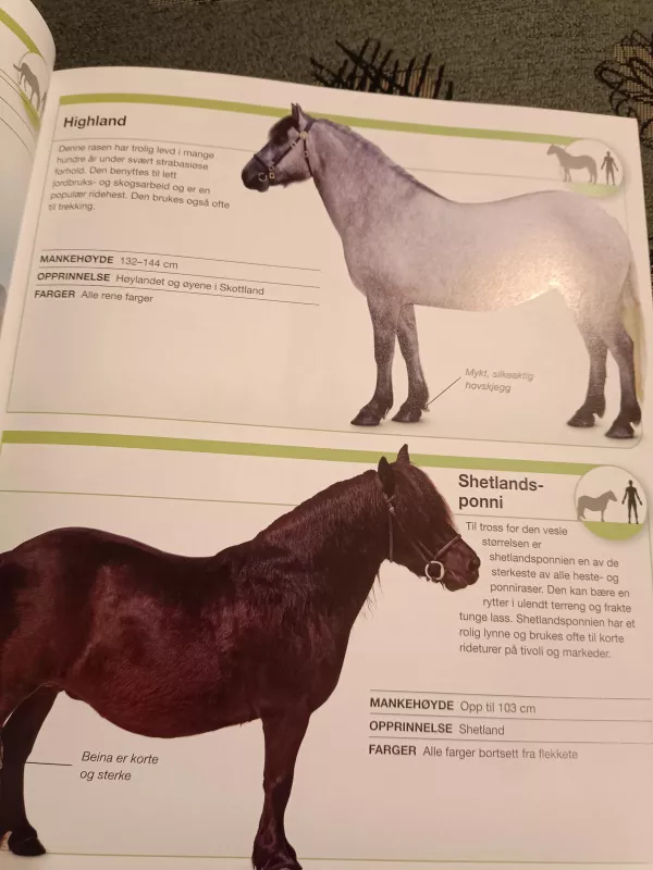 Hester Spectrum arklių katalogas - Autorių Kolektyvas, knyga 4