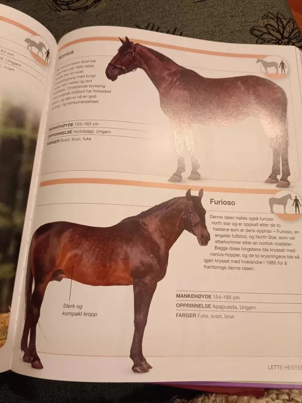 Hester Spectrum arklių katalogas - Autorių Kolektyvas, knyga 2