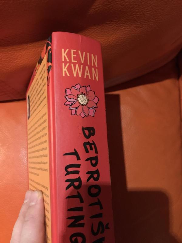 Beprotiškai turtingi - Kevin Kwan, knyga 4