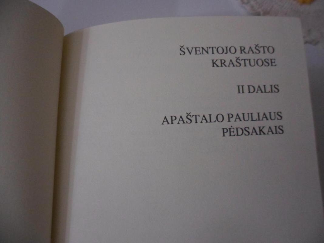 Šv. Rašto kraštuose (II dalis) (21A serijos knyga) - Antanas Rubšys, knyga 2