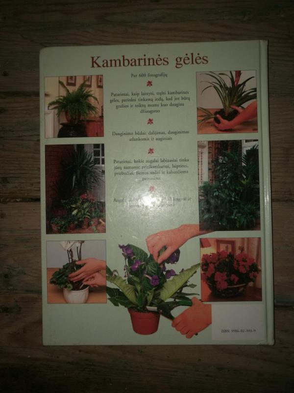 Kambarinės gėlės - Peter McHoy, knyga 2