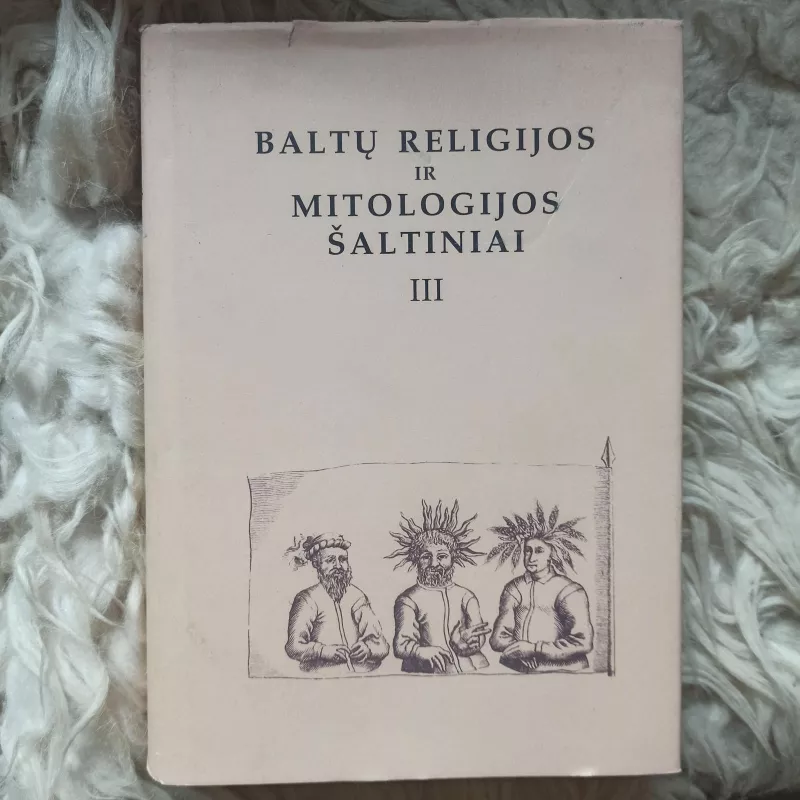 Baltų religijos ir mitologijos šaltiniai (3 tomas) - Norbertas Vėlius, knyga