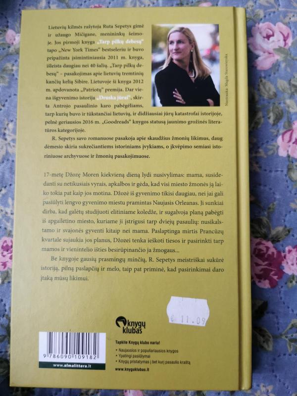 Nelengvu keliu - Šepetys Ruta, knyga 2