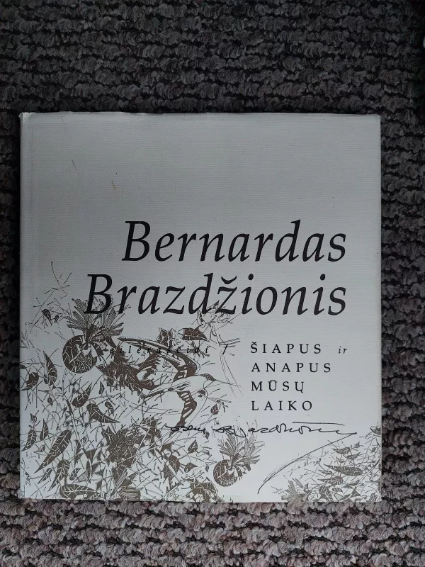 Šiapus ir anapus laiko - Bernardas Brazdžionis, knyga