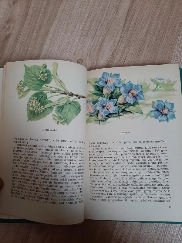 Nuostabus augalų pasaulis - G. Denisova, knyga 4