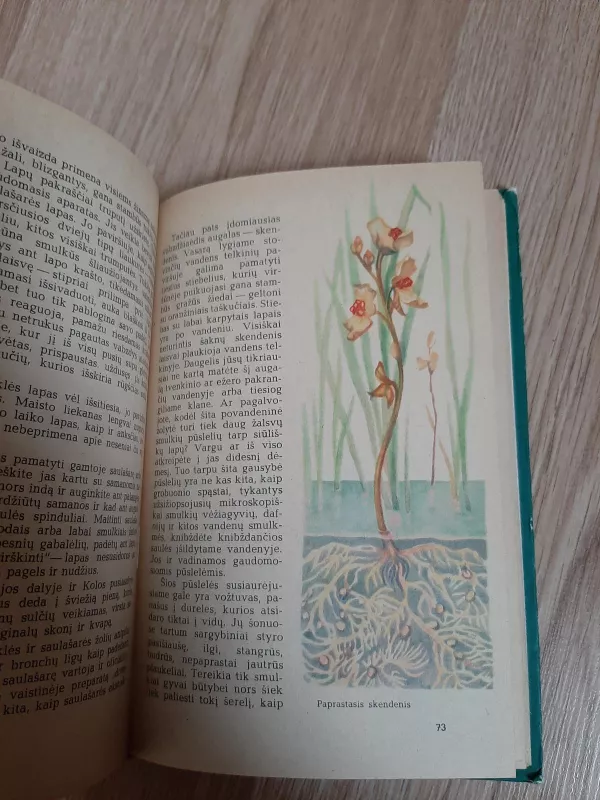 Nuostabus augalų pasaulis - G. Denisova, knyga 3