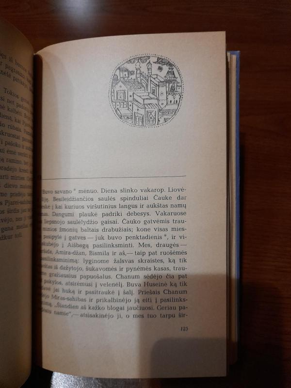 Šokėja - Autorių Kolektyvas, knyga 3