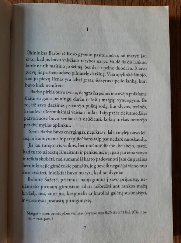 Mažoji Fadetė - George Sand, knyga 5