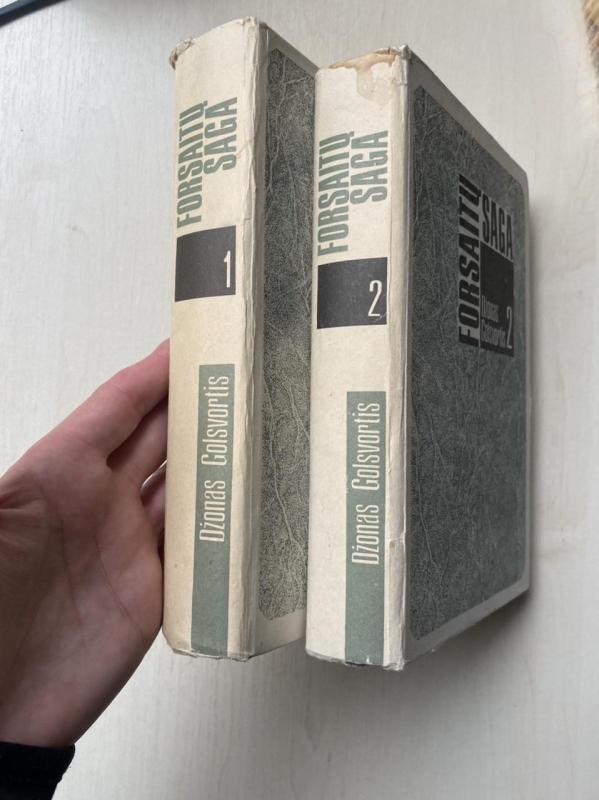 Forsaitų saga (II tomai) - Džonas Golsvortis, knyga 3