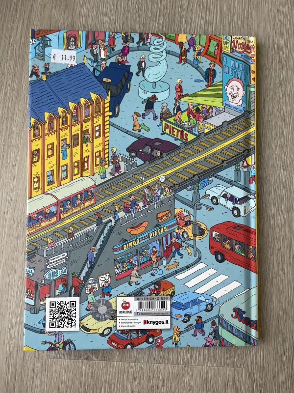 Pasiklydęs mieste - Flu Hartberg, knyga 2