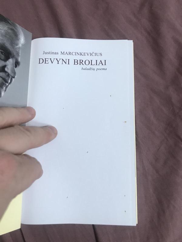 DEVYNI BROLIAI. Baladžių poema - Justinas Marcinkevičius, knyga 3