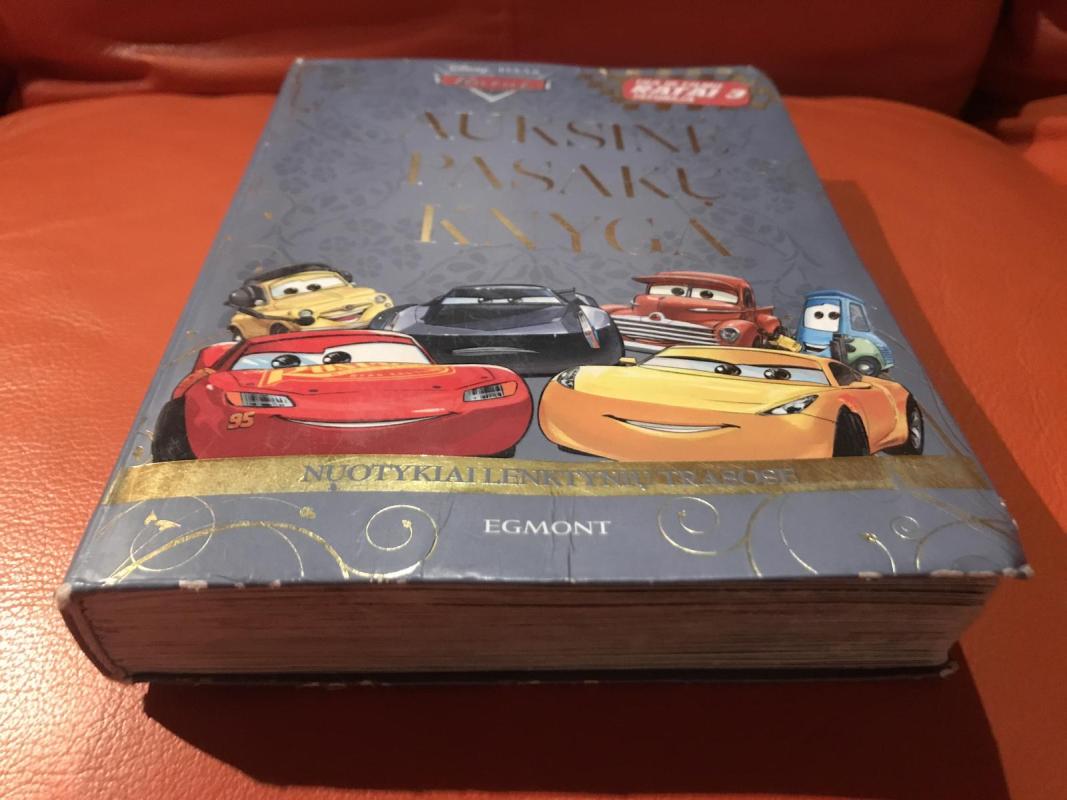 Auksinė pasakų knyga - Barbara Bazaldua, knyga 5