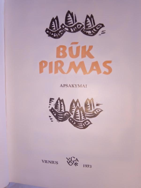 Būk pirmas - Autorių Kolektyvas, knyga 3