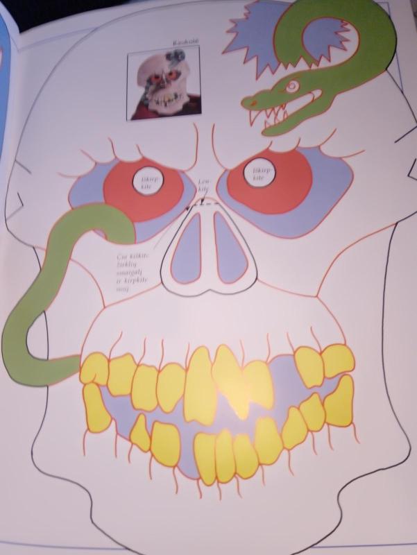 Kaukės ir veidų dažymas - Ray Gibson, knyga 2