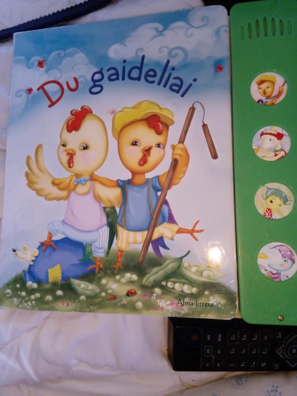 Du gaideliai - Autorių Kolektyvas, knyga 5