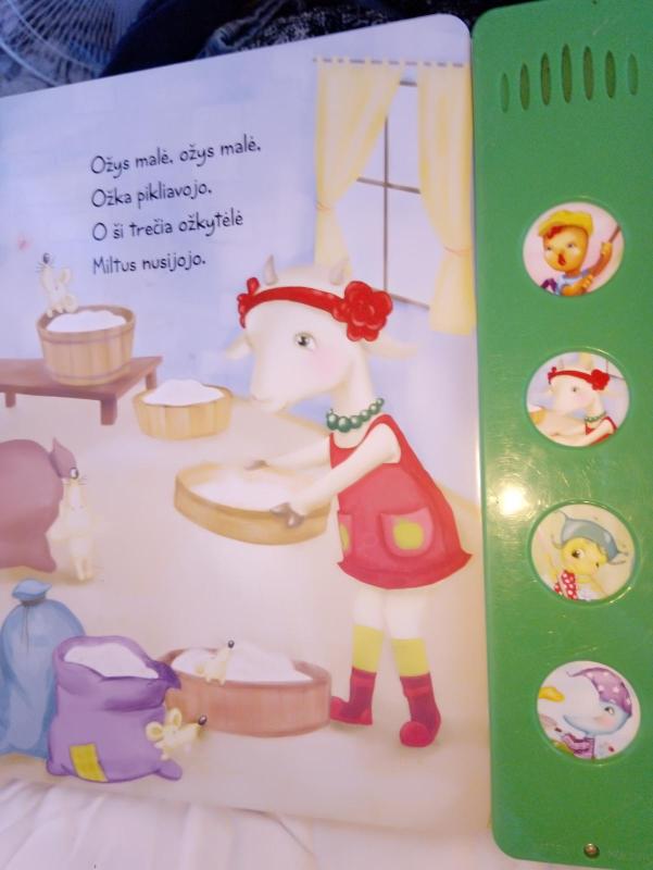 Du gaideliai - Autorių Kolektyvas, knyga 2