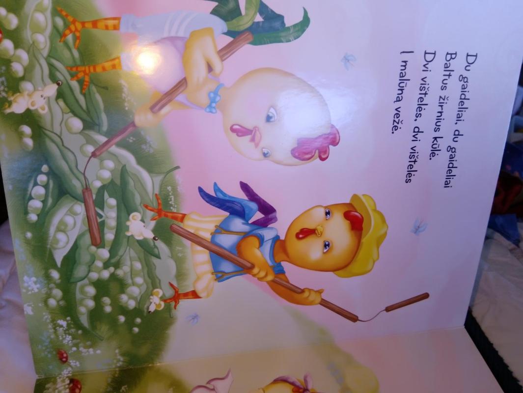 Du gaideliai - Autorių Kolektyvas, knyga 4