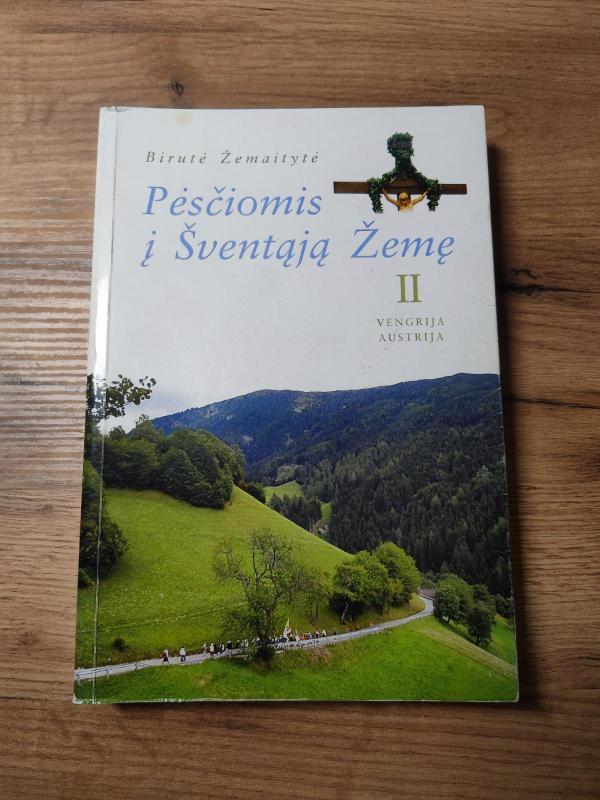 Pėsčiomis į Švęntąją Žemę - Birutė Žemaitytė, knyga