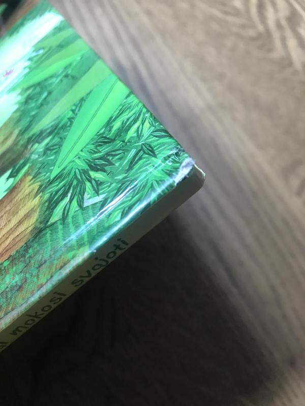 Žvėreliai mokosi svajoti - Kęstutis Navakas, knyga 2