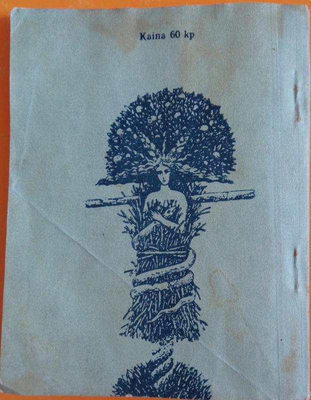 Knyga netyčia - Valdemaras Kukulas, knyga 3