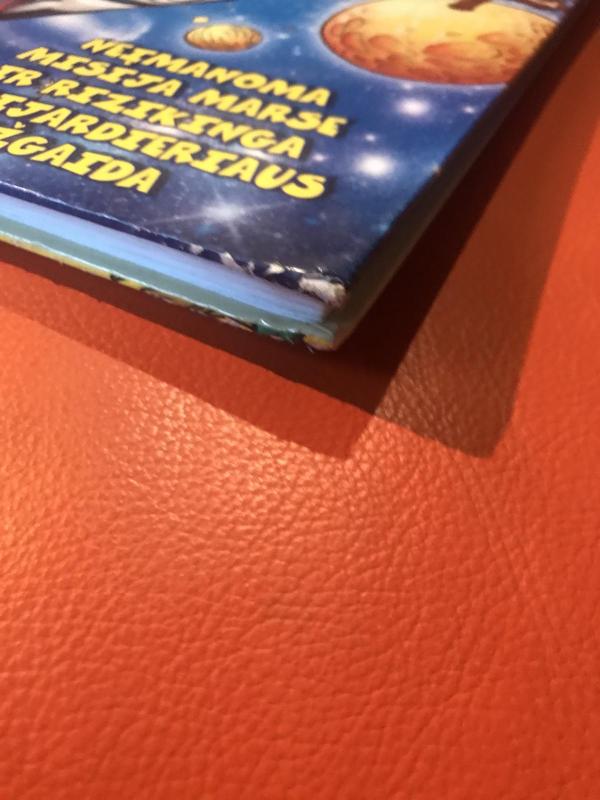 Donaldas ir kiti. Neįmanoma misija Marse ir rizikinga milijardieriaus užgaida - Walt Disney, knyga 4