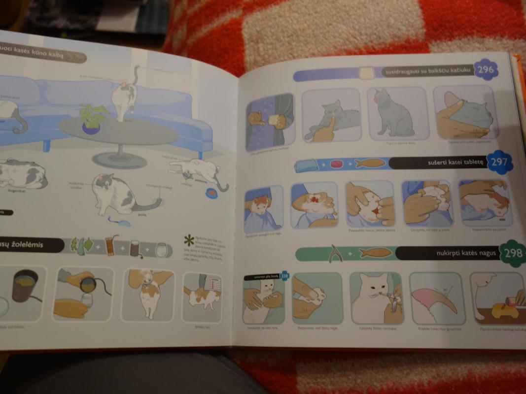 Matai - darai. 500 įdomybių, arba, Kaip tai padaryti - Lauren Smith, Derek  Fagerstrom, knyga