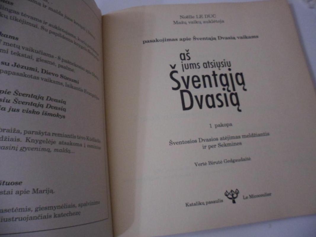 Aš jums atsiųsiu Šventąją Dvasią - Autorių Kolektyvas, knyga 2