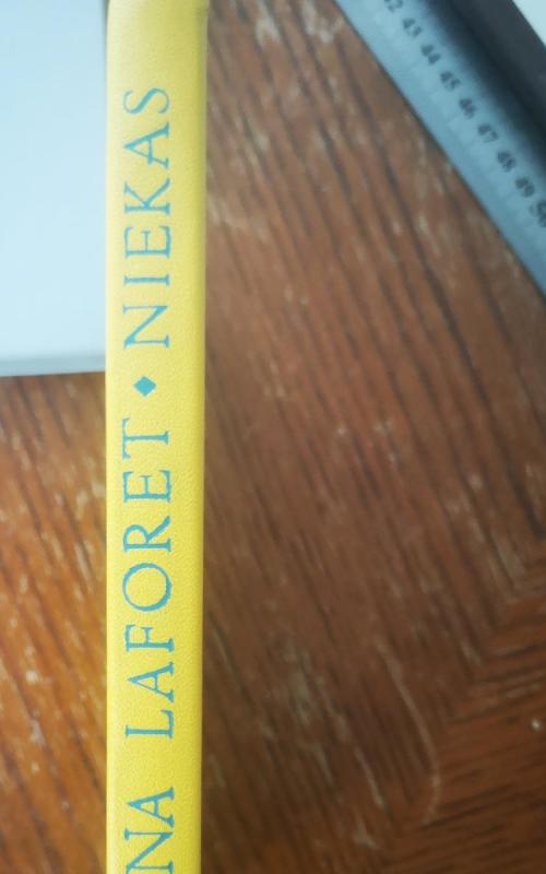 Niekas - Carmen Laforet, knyga 2