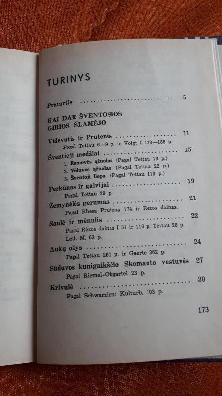 Kai dar amžina ugnis ruseno - Jonas Remeika, knyga 3