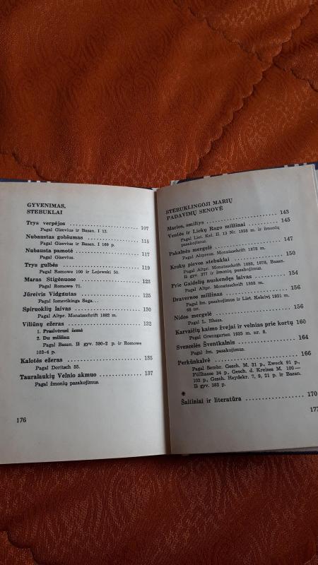 Kai dar amžina ugnis ruseno - Jonas Remeika, knyga 2