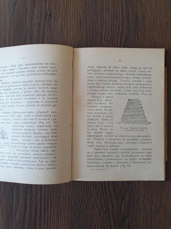 Historia sztuk plastycznych - Wincenty Trojanowski, knyga 4