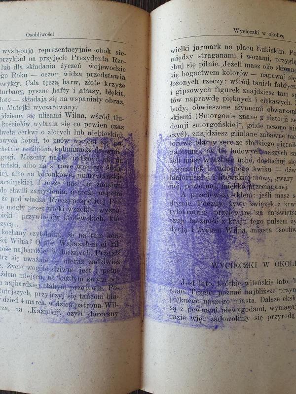 Gniazdo zelaznego wilka - Witold Hulewicz, knyga 4