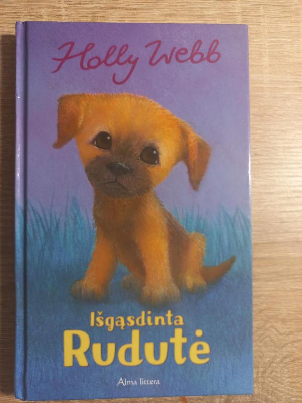 Išgąsdinta Rudutė - Autorių Kolektyvas, knyga 3